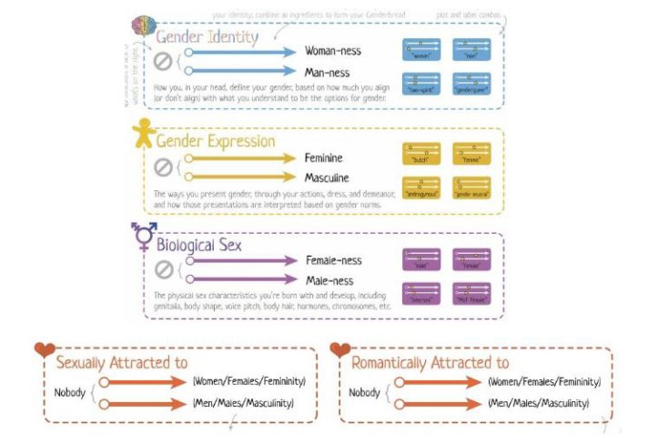 genderbread-dimensions